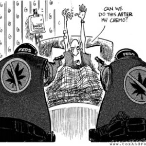 Federal-Marijuana