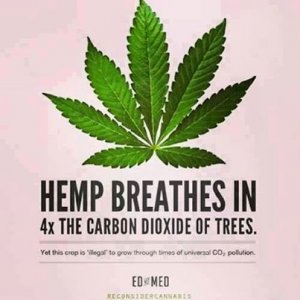 Hemp Breathes