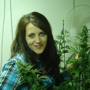 jamie miss medical marijuana contestant