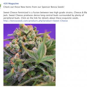 Bonza FB Ad 03/04/14