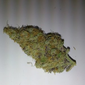 juicy fruit one week cure