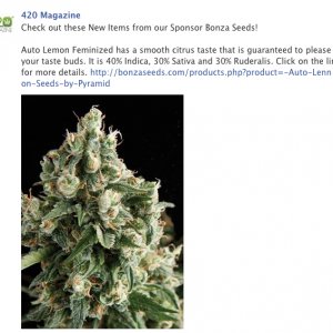 Bonza FB Ad 03/11/14