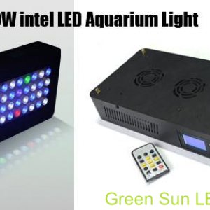 Green Sun LED Logo