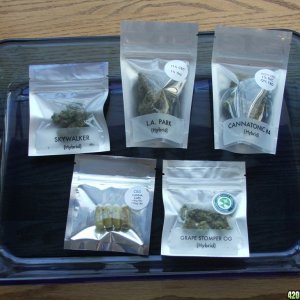 High CBD buds in original med-packs