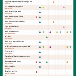 Ailment Chart