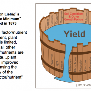 liebig barrel analogy