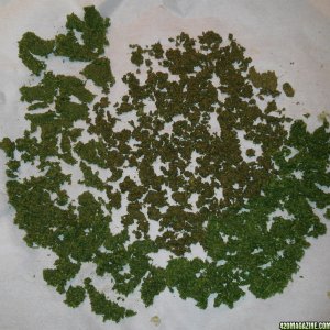 juicedbud_dry_32314