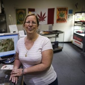 MMJ Store