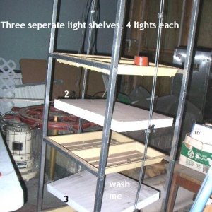 Sylvania Lights/Grow Rack