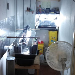 Grow Room Setup