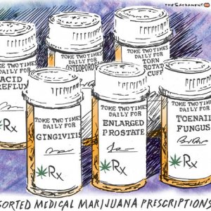 Cannabis Rx