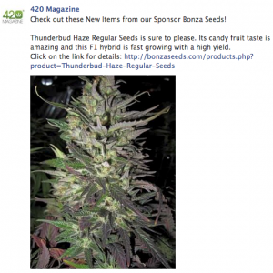 Bonza FB Ad 04/01/14