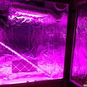 Grow room w LEDs on