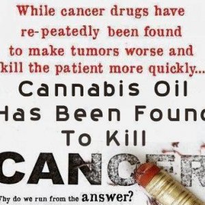 Cannabis & Cancer