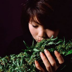 Woman Smelling Big Bud