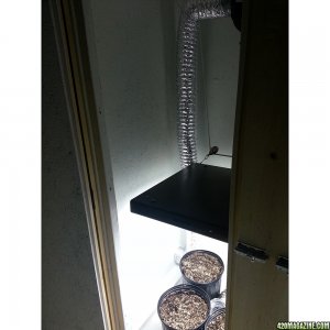 Final Grow Box Systems Check