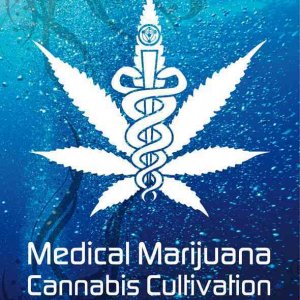 Medical Marijuana Cannabis Cultivation: Trees of Life at the University of 