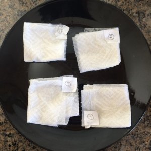 Seeds set in wet paper towel