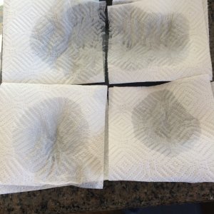 Paper towel prep for seeds