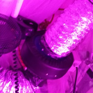 Guesstimators 2ND GROW V2.0 ZNET LED