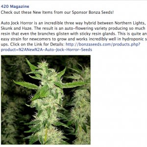 Bonza FB Ad 04/22/14