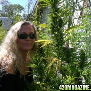 420 Girl Dana Dwight