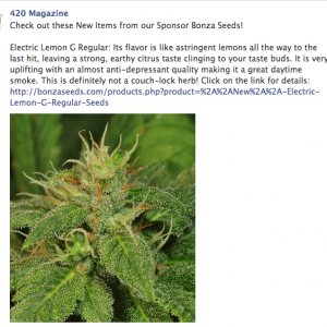 Bonza FB 04/29/14