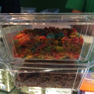 Marijuana Edibles