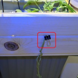 LST with Yarn and Binder Clips