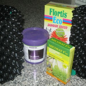 Bat guano, bloodmeal, mycorrhizae, air-pots