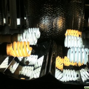 23w CFLs 4x6500k 2x2700k