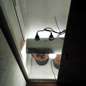 Grow Box