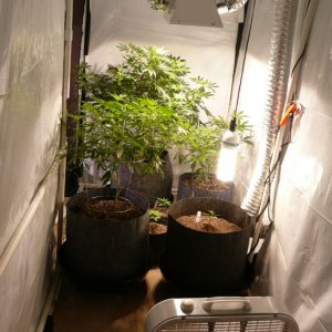 Small veg room