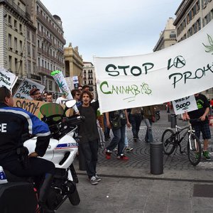 Cannabis Rally In France 05/2014