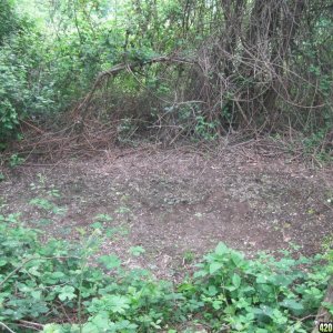 Outdoor seedlings