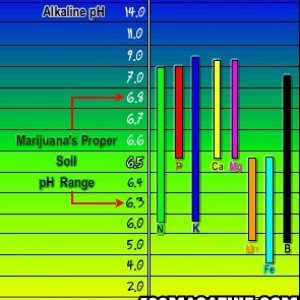 Nutrient_Chart21