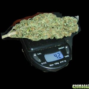 nice sized nug