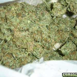 alot of bud