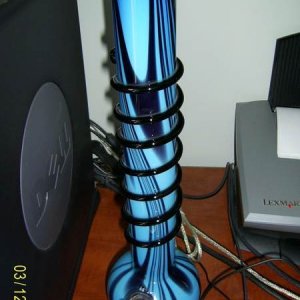 bluebong