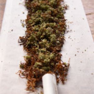 Joint1