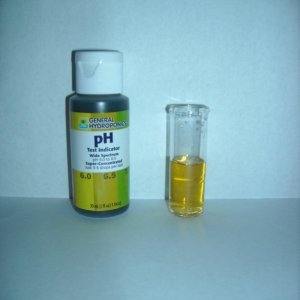 ~6.5 pH reading of DTW and Growology Step 2