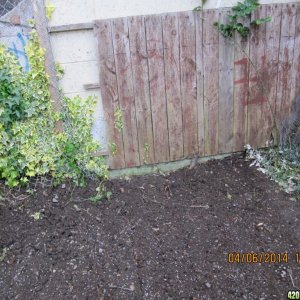 outdoor patch dug up and cleaned