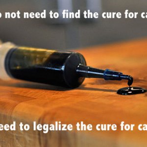 Cannabis Oil Cancer Cure