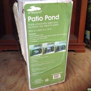 Question grow in patio pond