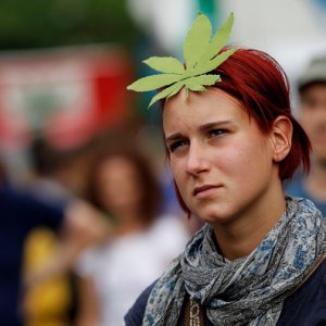 Marijuana Supporter Germany