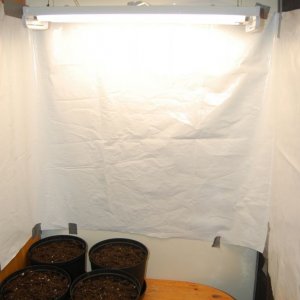 Grow room