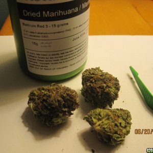 Medicinal buds from Canadian Dispensary