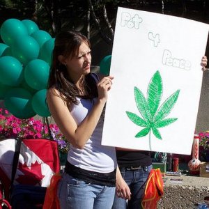 MMJ Activist