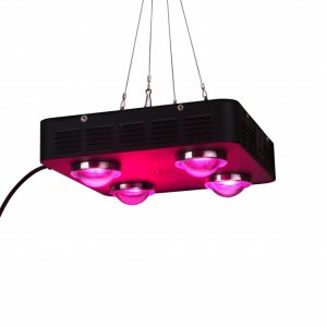 Spider COB LED Grow Light