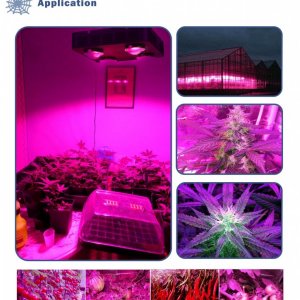 Spider COB LED Grow Light